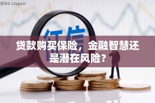 乌当贷款购买保险，金融智慧还是潜在风险？