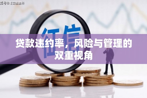 乌当贷款违约率，风险与管理的双重视角