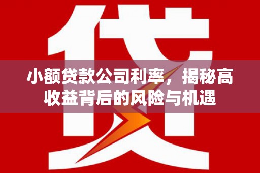 乌当小额贷款公司利率，揭秘高收益背后的风险与机遇
