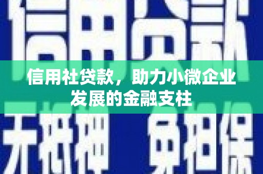 乌当信用社贷款，助力小微企业发展的金融支柱