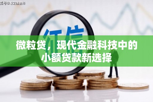 乌当微粒贷，现代金融科技中的小额贷款新选择