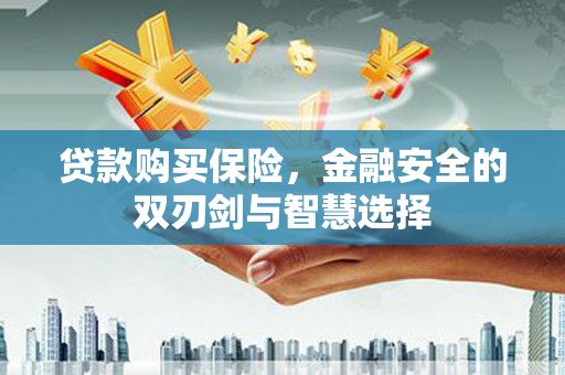 乌当贷款购买保险，金融安全的双刃剑与智慧选择