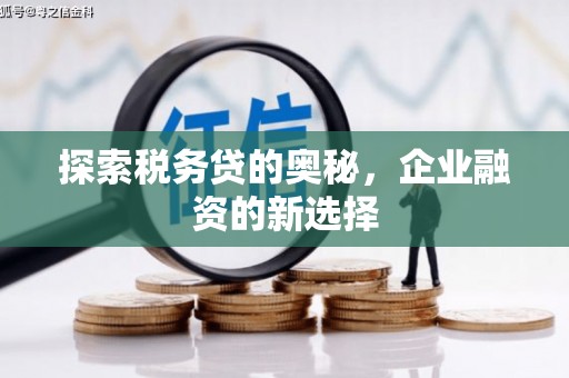 乌当探索税务贷的奥秘，企业融资的新选择