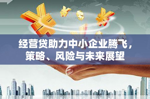 乌当经营贷助力中小企业腾飞，策略、风险与未来展望