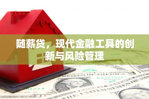 乌当随薪贷，现代金融工具的创新与风险管理