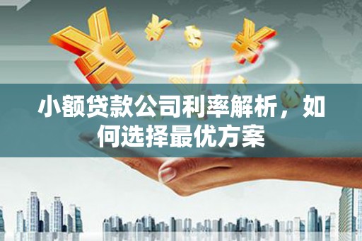 乌当小额贷款公司利率解析，如何选择最优方案