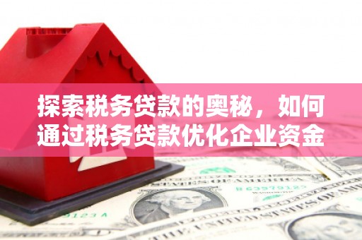 乌当探索税务贷款的奥秘，如何通过税务贷款优化企业资金流