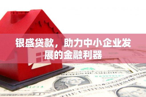 乌当银盛贷款，助力中小企业发展的金融利器