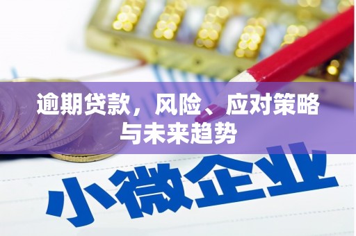 乌当逾期贷款，风险、应对策略与未来趋势