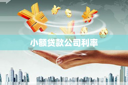 乌当小额贷款公司利率