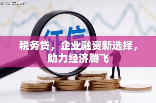 乌当税务贷，企业融资新选择，助力经济腾飞