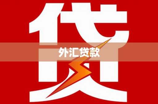 乌当外汇贷款