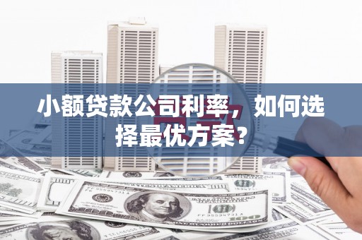 乌当小额贷款公司利率，如何选择最优方案？
