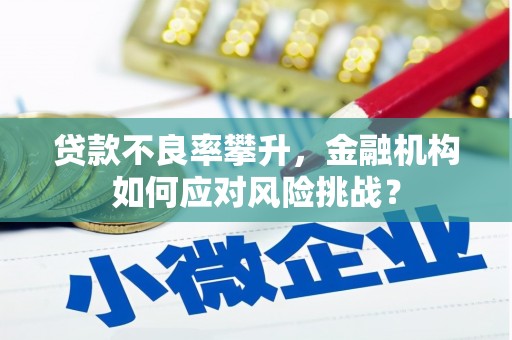乌当贷款不良率攀升，金融机构如何应对风险挑战？