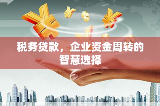 乌当税务贷款，企业资金周转的智慧选择
