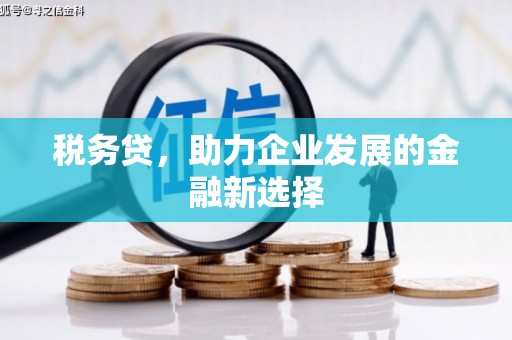 乌当税务贷，助力企业发展的金融新选择