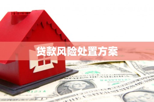 乌当贷款风险处置方案