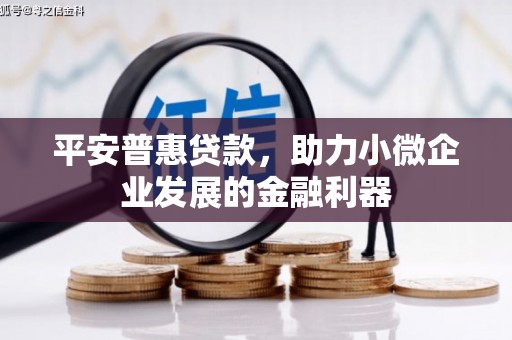 乌当平安普惠贷款，助力小微企业发展的金融利器