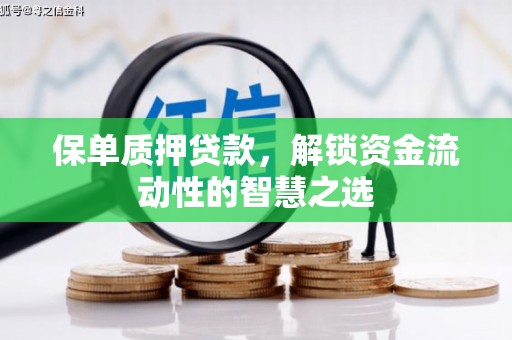 乌当保单质押贷款，解锁资金流动性的智慧之选