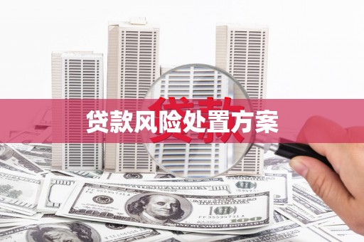 乌当贷款风险处置方案