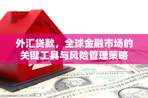 乌当外汇贷款，全球金融市场的关键工具与风险管理策略
