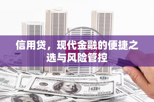 乌当信用贷，现代金融的便捷之选与风险管控