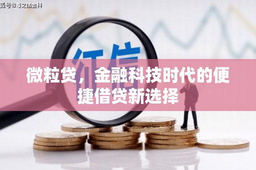 乌当微粒贷，金融科技时代的便捷借贷新选择