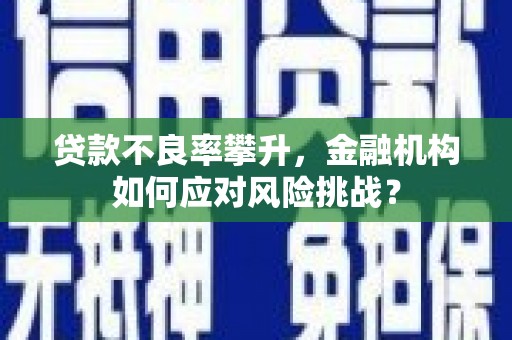 乌当贷款不良率攀升，金融机构如何应对风险挑战？