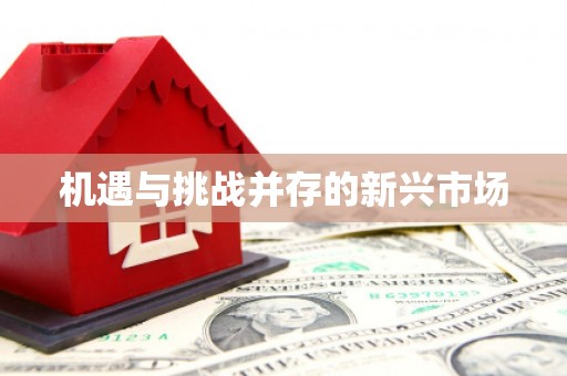乌当机遇与挑战并存的新兴市场