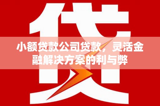 乌当小额贷款公司贷款，灵活金融解决方案的利与弊